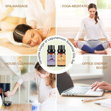 Load image into Gallery viewer, Lagunamoon Essential Oils Top 6 Gift Set Pure for Diffuser, Humidifier,...