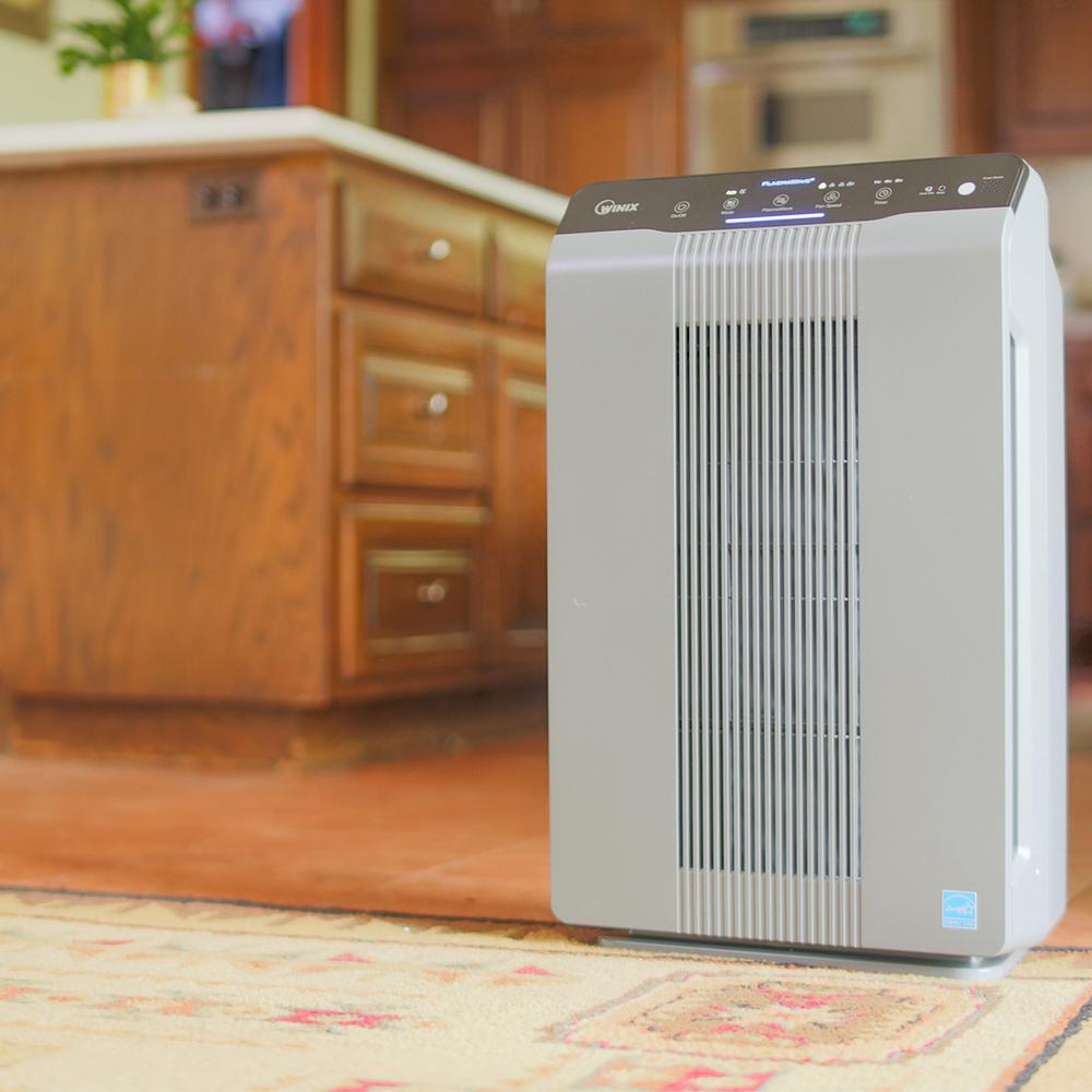5300-2 Air Cleaner with PlasmaWave Technology